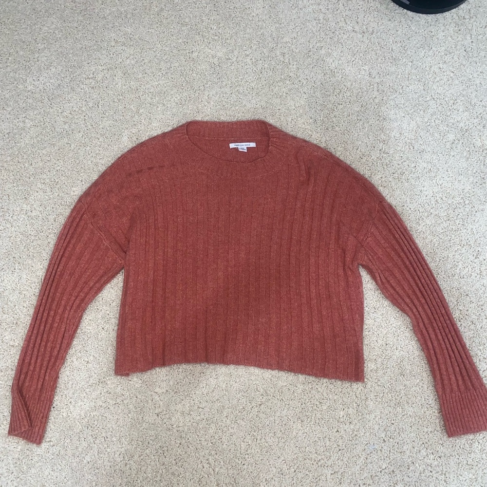 Lightweight American Eagle Sweater